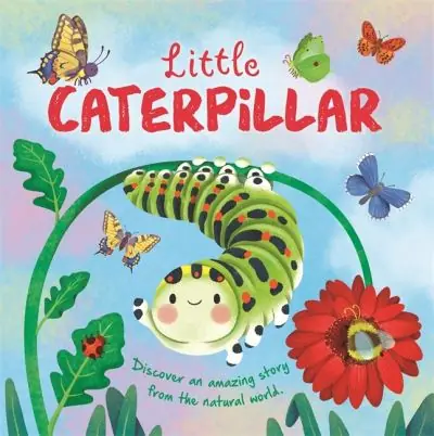 New Release Little Caterpillar