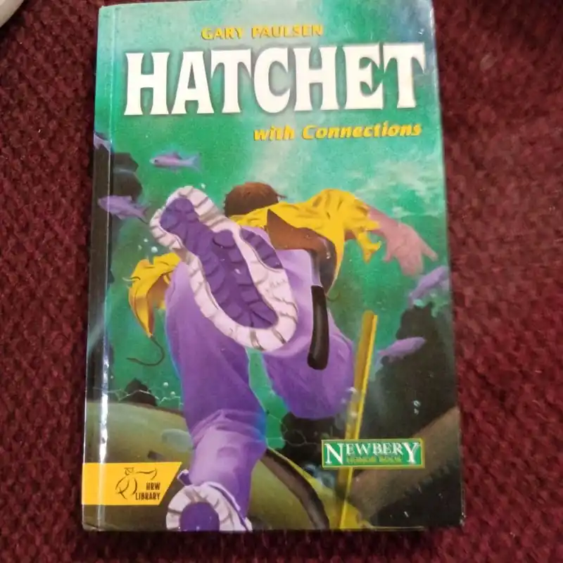 Budget Hatchet - Gary Paulsen