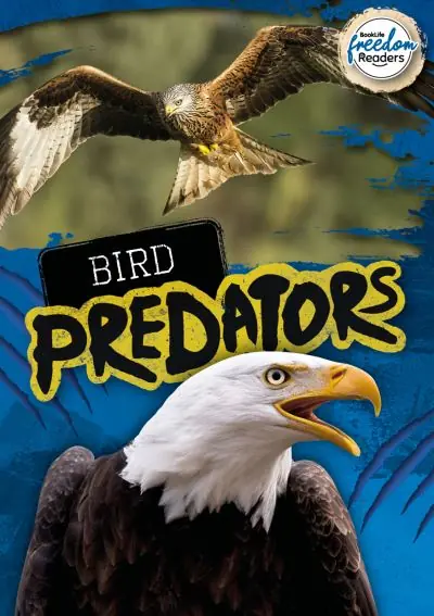 Bird Predators Final Sale
