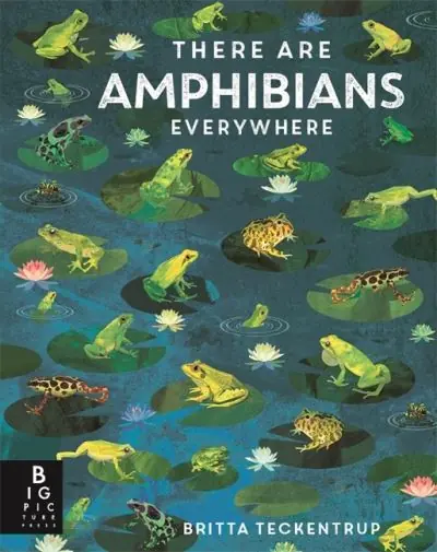There Are Amphibians Everywhere Special Discount