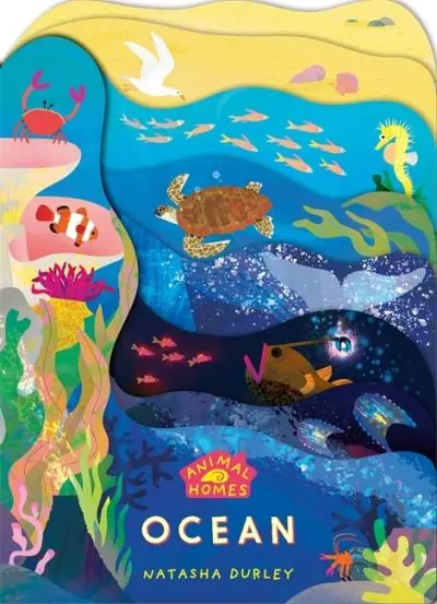 Ocean Special Offer