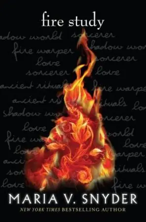 Fire Study Factory Price