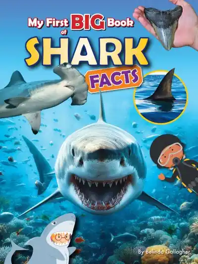 Buy Today My First Big Book of Shark Facts