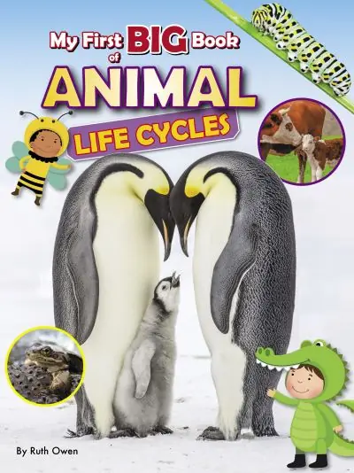 My First Big Book of Animal Life Cycles New Arrival