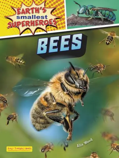 Bees Editor’s Pick