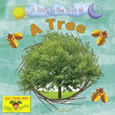 A Day in the Life of a Tree Money Back Guarantee