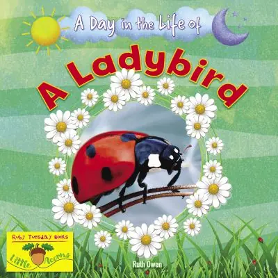 A Day in the Life of a Ladybird Top Pick