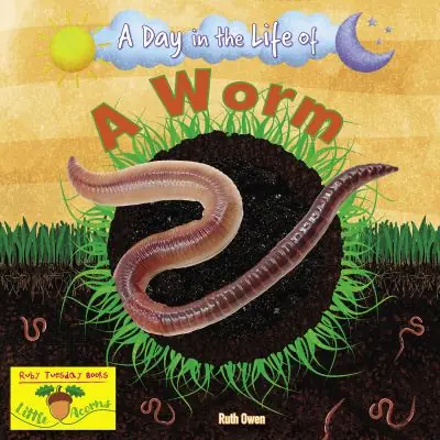 A Day in the Life of a Worm Bargain