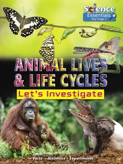 Next Day Delivery Animal Lives & Life Cycles