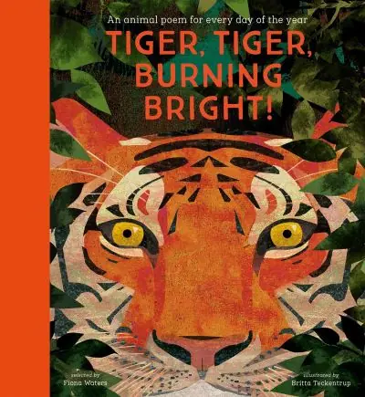 Super Sale Tiger, Tiger, Burning Bright!