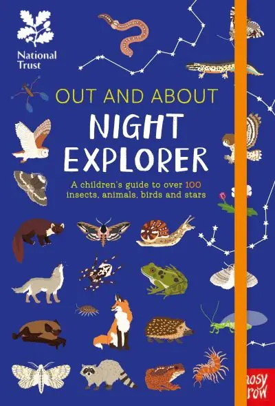 Night Explorer Express Delivery