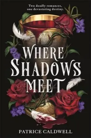 Where Shadows Meet Money Back Guarantee