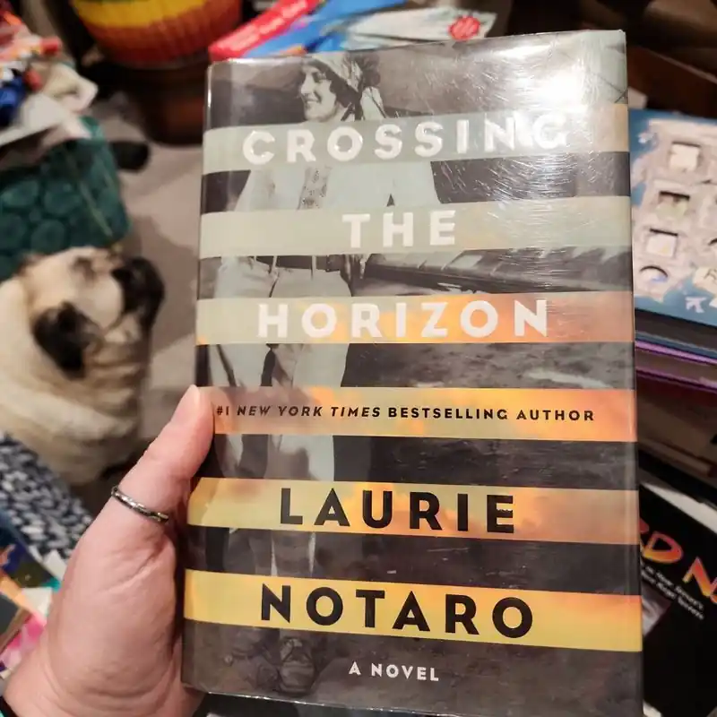 Holiday Sale Recently Viewed - Laurie Notaro