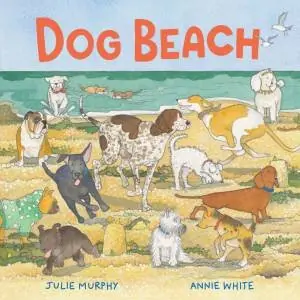 Express Delivery Dog Beach