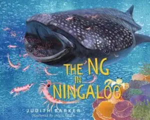 The NG in Ningaloo Same Day Shipping