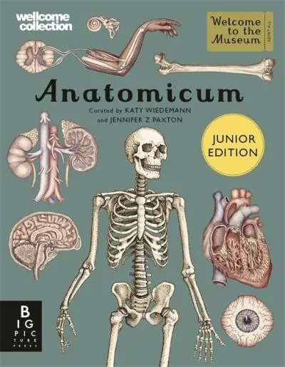 Clearance Anatomicum