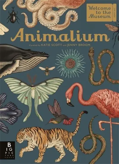 Animalium Weekend Sale