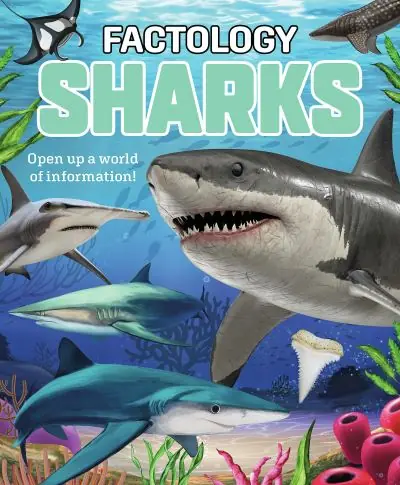 Sharks Order Now