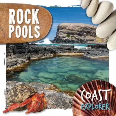 Rock Pools Buy Online