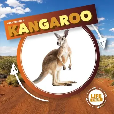 Reduced Price Life Cycle of a Kangaroo