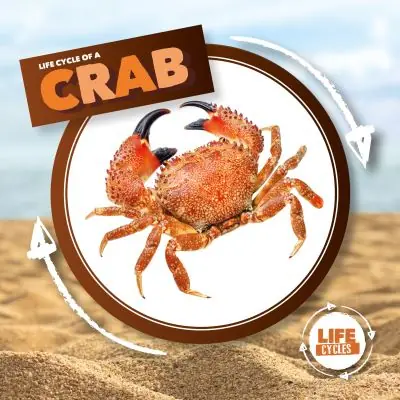 No Minimum Order Life Cycle of a Crab