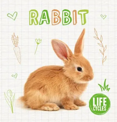 Weekend Sale Rabbit