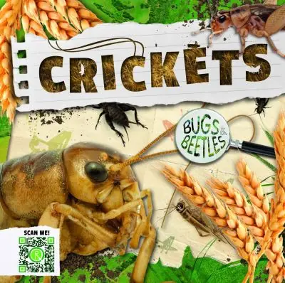 Factory Price Crickets