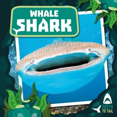 Affordable Whale Shark