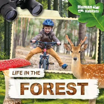 Direct From Factory Life in the Forest