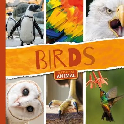 Professional Grade Birds
