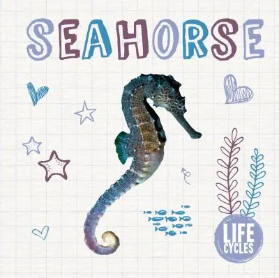 Seahorse New Release