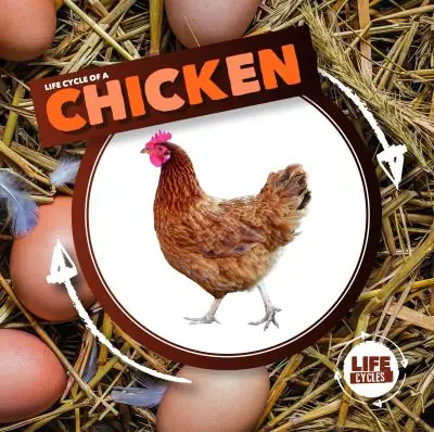 Life Cycle of a Chicken Deal
