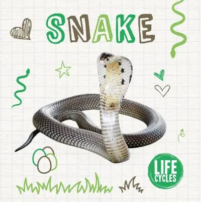 Express Delivery Snake