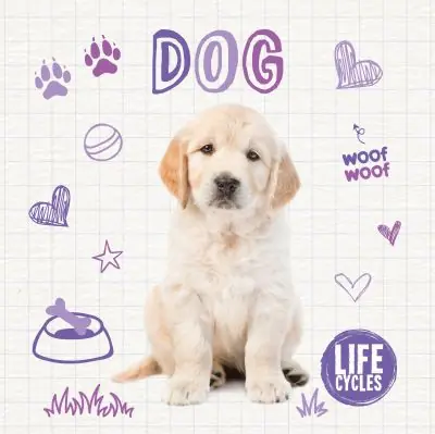 Dog Affordable