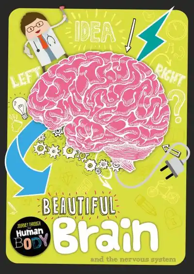 Beautiful Brain and the Nervous System Worldwide Shipping