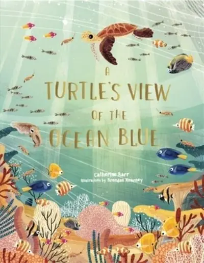 A Turtle's View of the Ocean Blue Mega Sale
