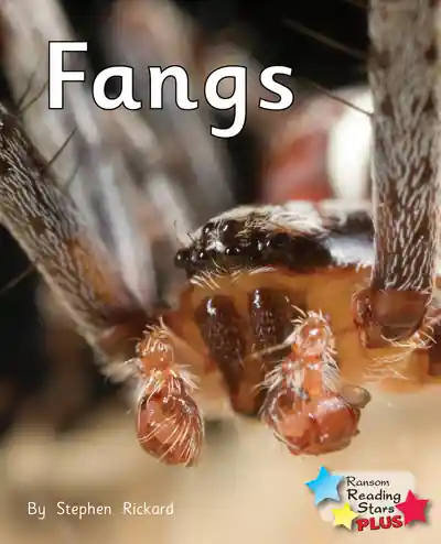 Fangs Holiday Sale