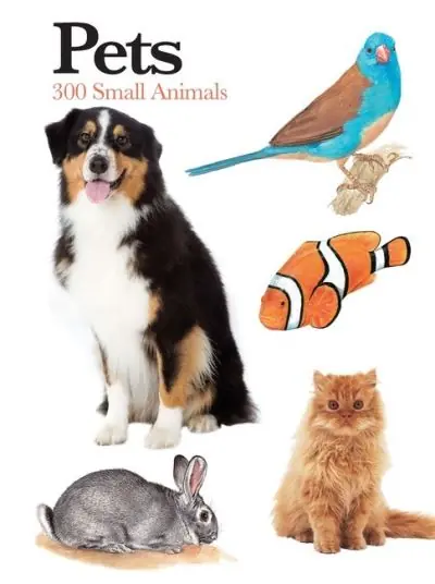 Top Pick Pets
