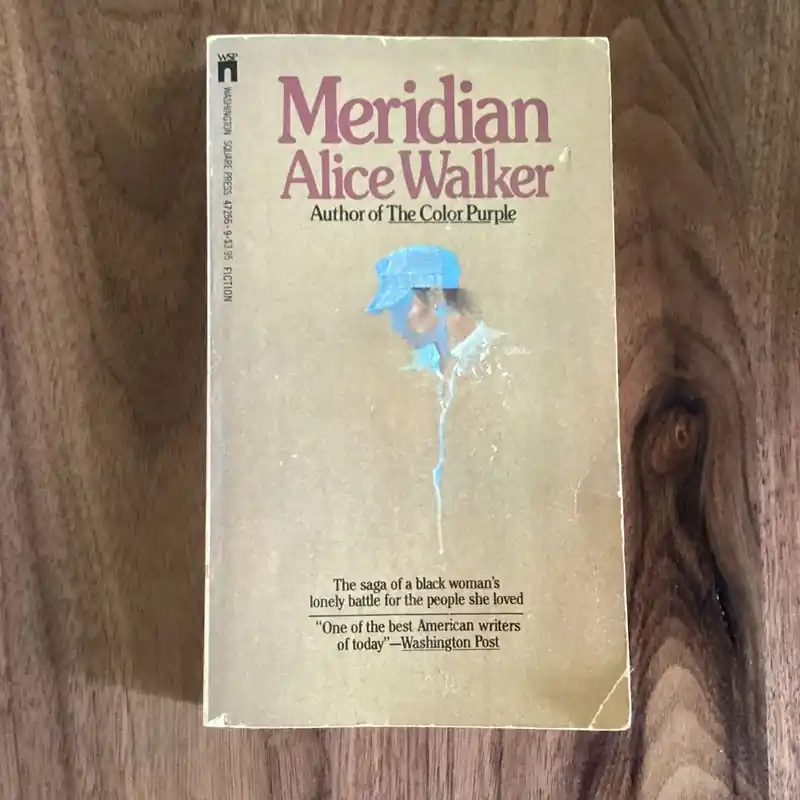 Best Choice Meridian - Alice Walker
