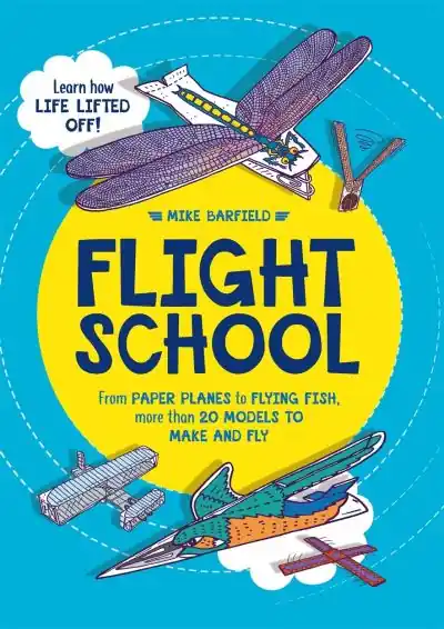 Clearance Flight School