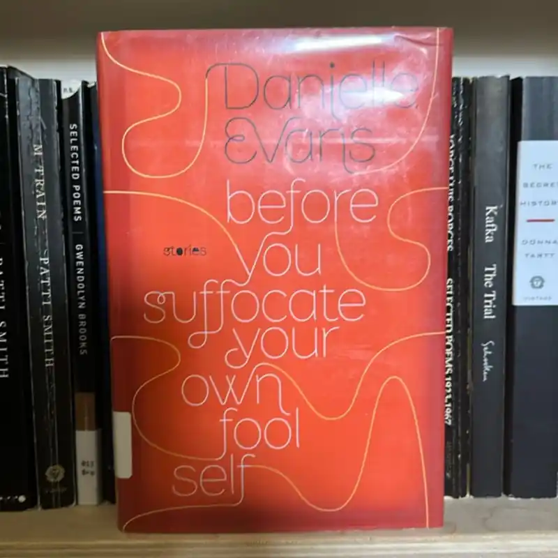 Limited Offer Before You Suffocate Your Own Fool Self - Danielle Evans