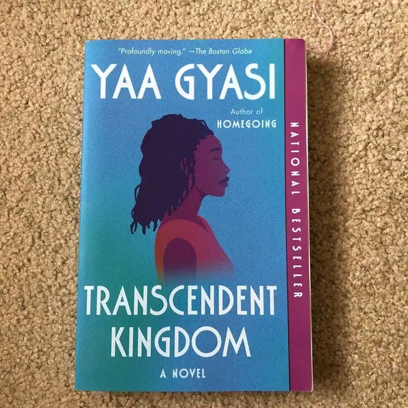 Budget Recently Viewed - Yaa Gyasi