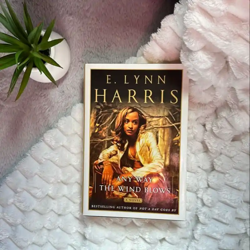 Any Way the Wind Blows - E. Lynn Harris Secure Checkout