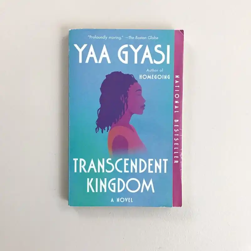 Hot Picks Recently Viewed - Yaa Gyasi