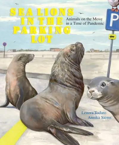 New Arrival Sea Lions in the Parking Lot