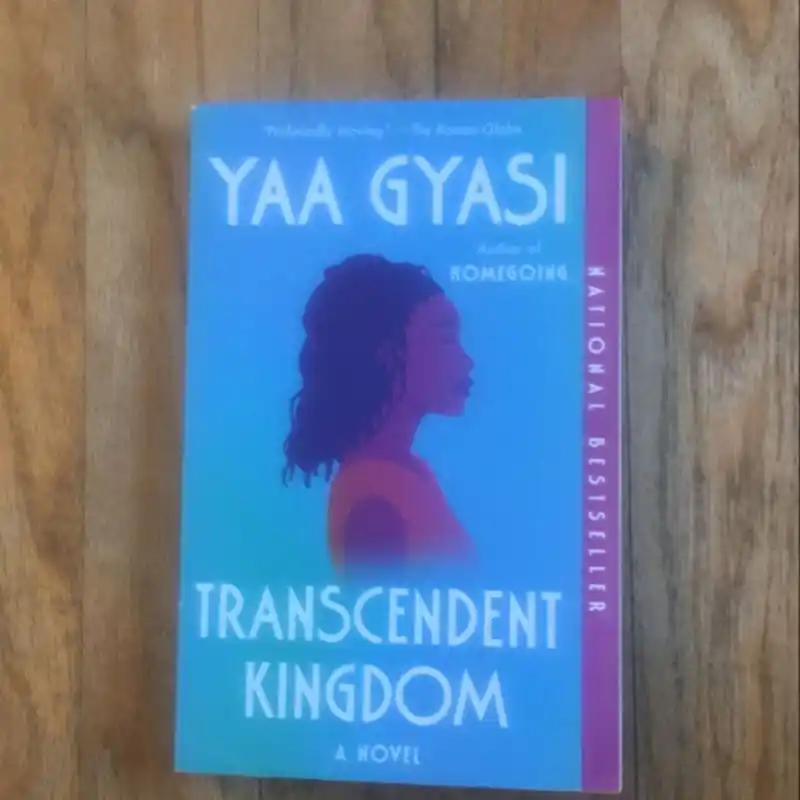 Grab Now Recently Viewed - Yaa Gyasi