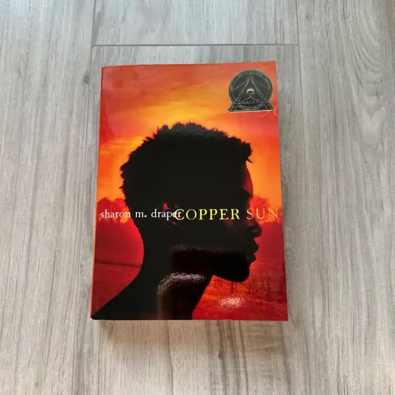 Direct From Factory Copper Sun - Sharon M. Draper