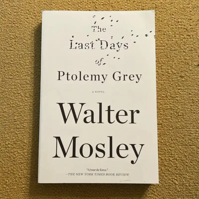 Best Choice Recently Viewed - Walter Mosley