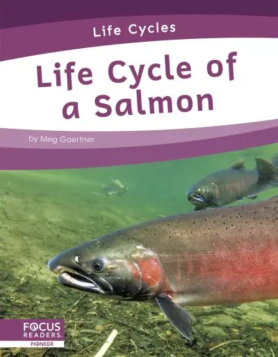 Express Delivery Life Cycle of a Salmon