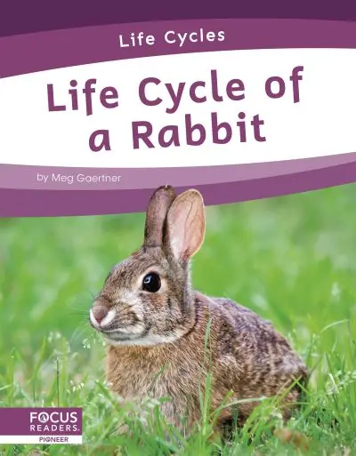 Life Cycle of a Rabbit No Minimum Order